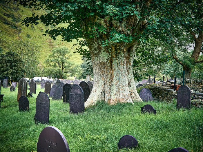 04-Pc13-2025-07-26 11.07.21